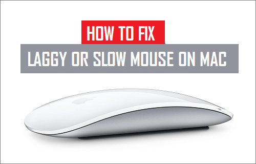 Fix Laggy or Slow Mouse on Mac