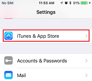 iTunes and App Store Tab in Settings