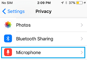 Microphone Option on iPhone Privacy Screen