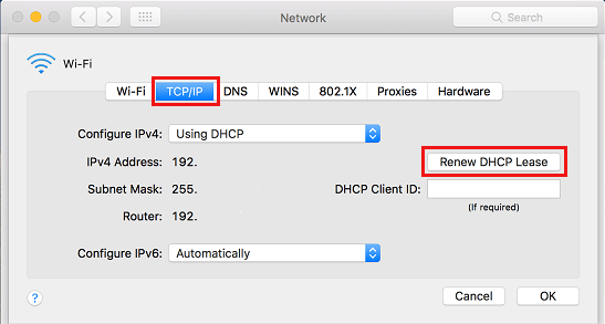 Erneuern Sie Die Dhcp-Lease-Option Auf Dem Mac