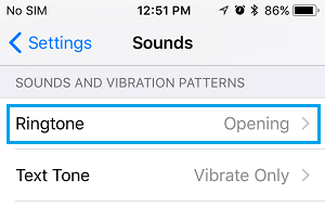 Ringtone Option on iPhone