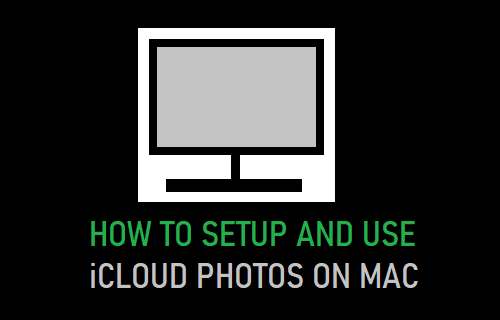 How to Enable and Use iCloud Photos on Mac - 63