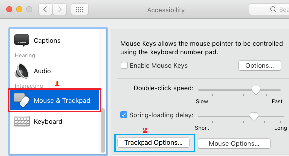 TrackPad Options Tab in Accessibility Screen on MacBook
