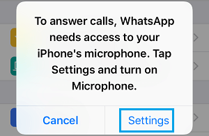 WhatsApp Popup on iPhone Requesting Access to Microphone