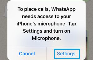 WhatsApp Popup on iPhone Requesting Access to Microphone