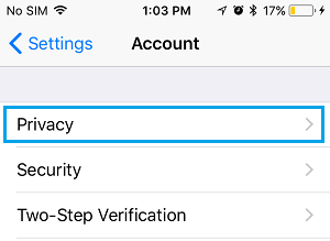 WhatsApp Privacy Settings Option on iPhone