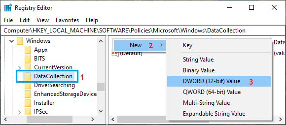 Create New DWORD in Data Collection Entry