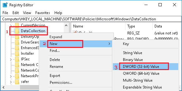 Create New DWORD in Data Collection 