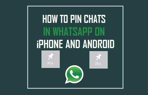 Pin chat on iphone whatsapp to how How to