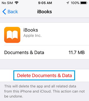 Delete Documents and Data On iPhone