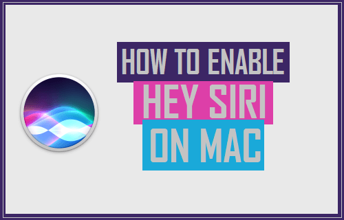 How to Enable Hey Siri On Mac - 47