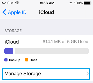 Manage Storage Option on iCloud Screen on iPhone
