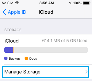 How to Delete iCloud Backups On iPhone or iPad - 86