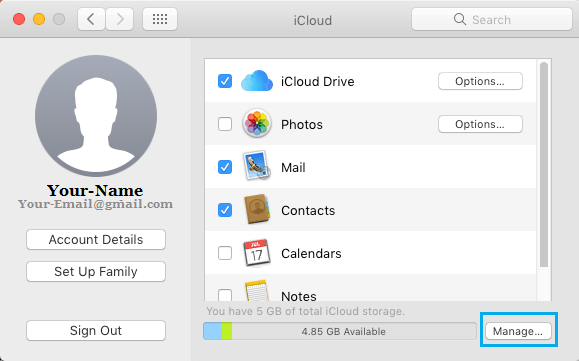 Manage Storage Option in iCloud Settings Screen on Mac