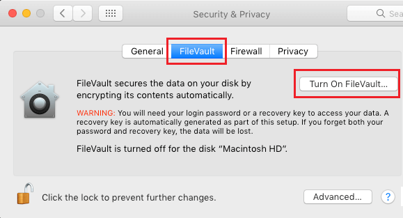 Turn on FileVault Option on Mac