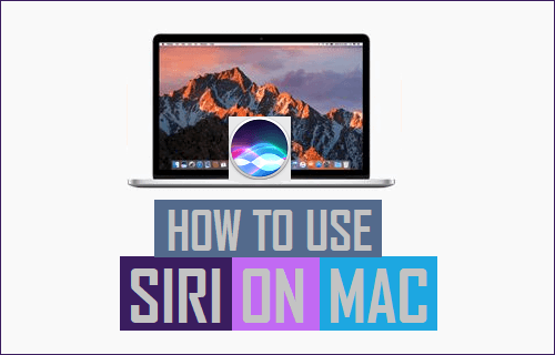 Use Siri On Mac