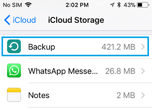 Backup Option on iCloud Storage Screen on iPhone