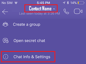 Chat Info and Settings Tab in Viber on iPhone