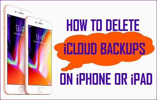 How to Delete iCloud Backups On iPhone or iPad - 41