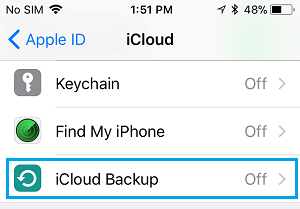 iCloud Backup Option in iPhone