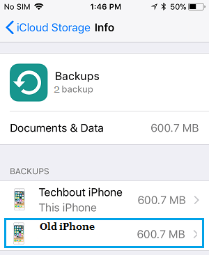 How to Delete iCloud Backups On iPhone or iPad - 18