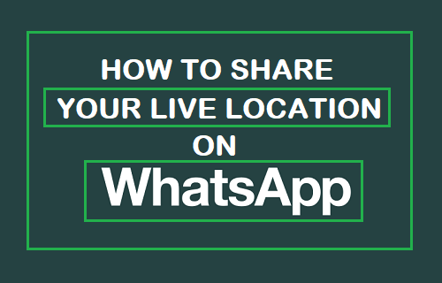 How to Share Live Location on WhatsApp iPhone and Android - 93