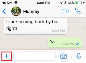 How to Share Live Location on WhatsApp iPhone and Android - 26
