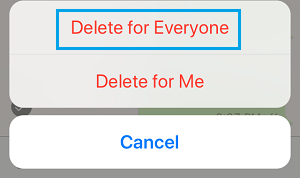 Delete For Everyone Option in WhatsApp