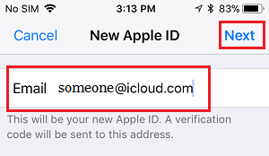Enter New Apple ID Email Address Screen on iPhone