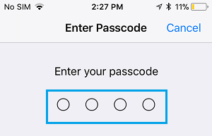 Enter Password on iPhone