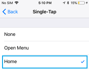 Home Option in Single-Tap AssistiveTouch Screen on iPhone