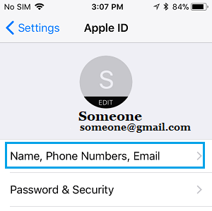 Name, Phone Numbers, Email Settings Option on iPhone