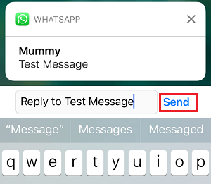 How to Reply WhatsApp Messages Without Appearing Online - 50