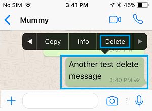 Select WhatsApp Message to Delete