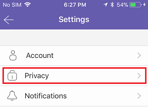 Viber Privacy Tab on iPhone
