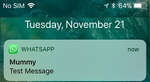WhatsApp Message Notification on iPhone