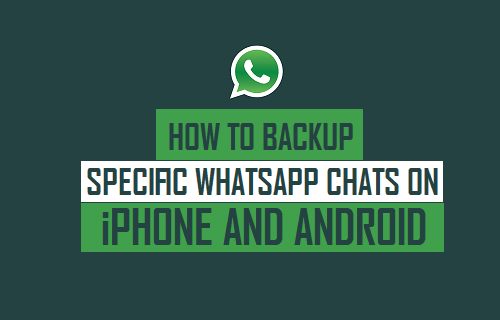 Backup Specific WhatsApp Chats On iPhone and Android