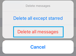 Delete All Messages Option in WhatsApp on iPhone