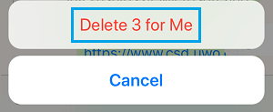 Delete Message Pop-up on iPhone