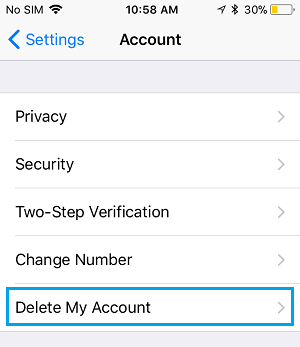 Delete My Account Option in WhatsApp on iPhone