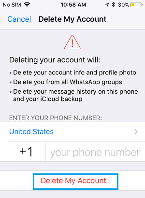 Delete My Account Screen in WhatsApp on iPhone