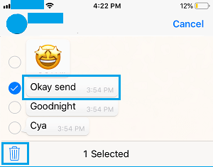 Delete Single WhatsApp Message on iPhone