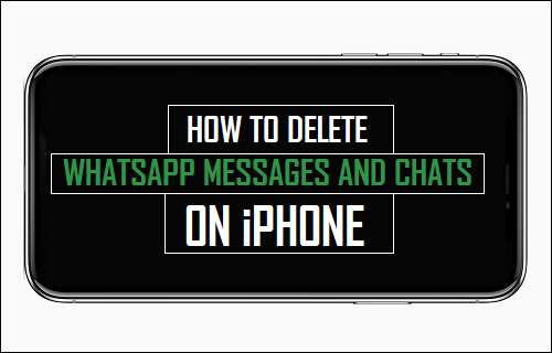 Delete WhatsApp Messages on iPhone