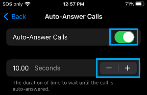 Enable Auto Answer Calls Option on iPhone