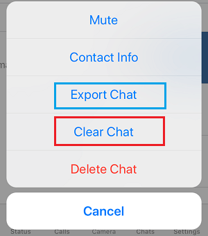 Export Chat Tab in WhatsApp on iPhone