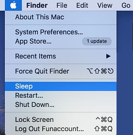 Put Mac to Sleep