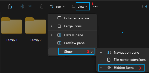 Show Hidden Items Option in Windows
