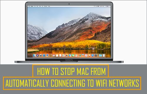 Stop Mac From Automatically Connecting to WiFi Networks - 47