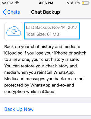 WhatsApp Last Backup Information on iPhone