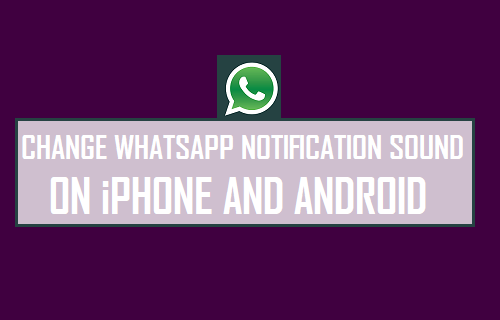 Change WhatsApp Notification Sound on iPhone and Android